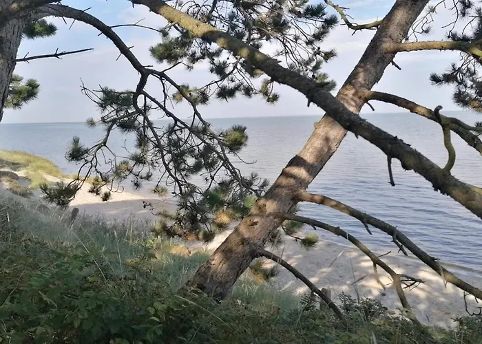 6 Person In Romo-by Traum *