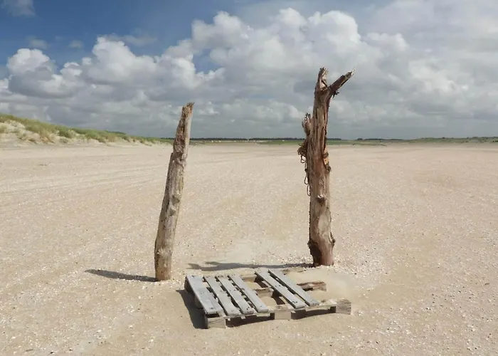 6 Person In Romo-by Traum